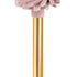 Image of EVE DIACOMP® plus TWIST Rad, Vorpolitur DT-DCP10m - Ø 11mm , 10er