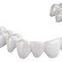 DURAN®+ white pd 1,0mm