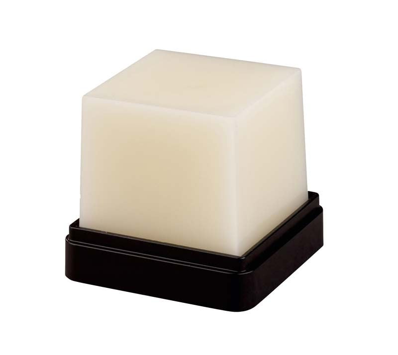Transparenter GEO Expert Wax Bruguera auf schwarzem Sockel.