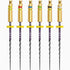 Image of ZenFlex™ NiTi Rotary Feilen 21mm Sortiment 20-45/.06
