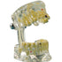 Image of Studienmodell Transparent De Luxe