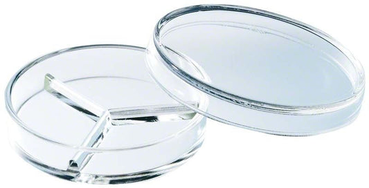 Image of Petrischale Klarglas dreigeteilt