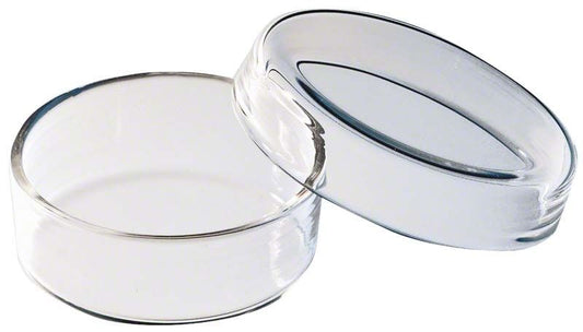 Image of Petrischale Klarglas ohne Einteilung 60mm