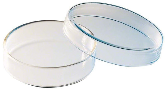 Image of Petrischale Klarglas ohne Einteilung 80mm