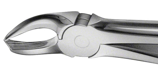 Image of ANATOMICA Zahnzange Figur 90 - OK Molaren links