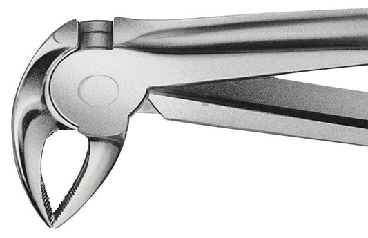 Image of ANATOMICA Zahnzange BÜCHS Haftprofil Figur 33 - UK Schneidezähne & Prämolaren