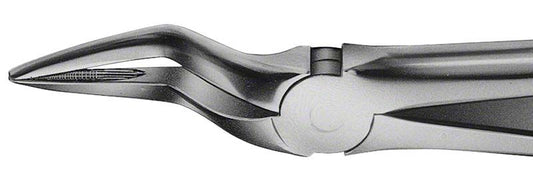 Image of ANATOMICA Zahnzange BÜCHS Haftprofil Figur 51 AL - OK Wurzeln