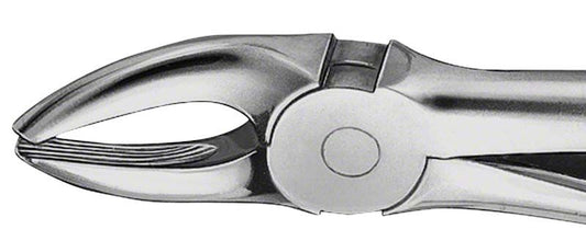 Image of ANATOMICA Zahnzange Figur 7 - OK Prämolaren