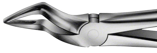 Image of ANATOMICA Zahnzange Figur 51 - OK Wurzeln