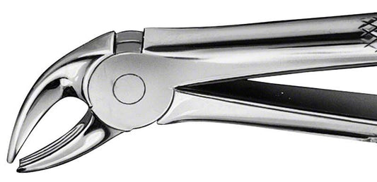 Image of ANATOMICA Zahnzange Figur 4 - UK Schneidezähne