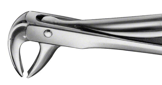 Image of ANATOMICA Zahnzange Figur 75 - UK Eckzähne & Prämolaren