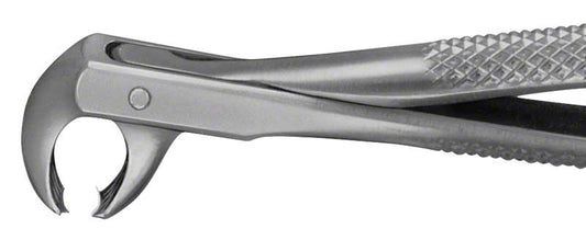 Image of ANATOMICA Zahnzange Figur 73 - UK Molaren