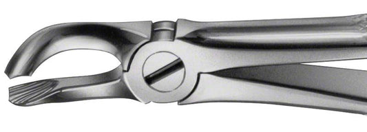 Image of ANATOMICA Zahnzange Figur 79 - UK Weisheitszähne