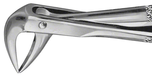 Image of ANATOMICA Zahnzange Figur 74 - UK Wurzeln