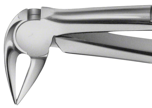 Image of ANATOMICA Zahnzange FEINER - UK Wurzeln