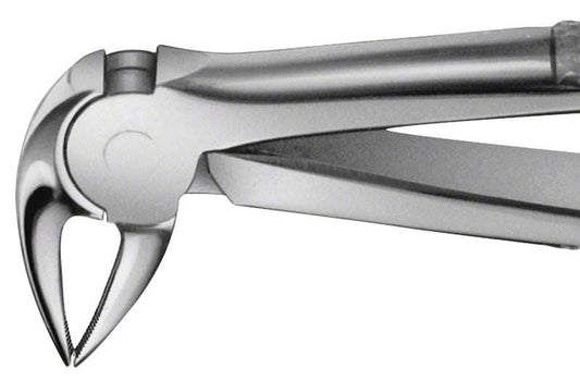 Image of ANATOMICA Zahnzange Figur 33 A - UK Wurzeln