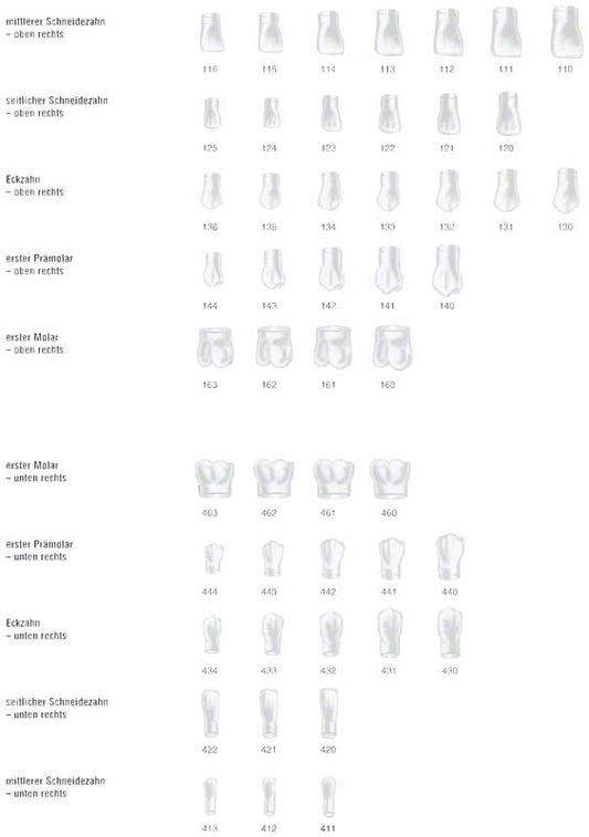 Image of Stripkronen color OK links Nr. 234