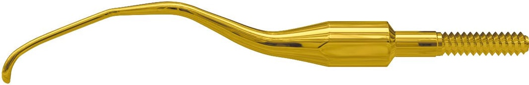 Goldene Küretten-Spitze für präzise Dentalhygiene.