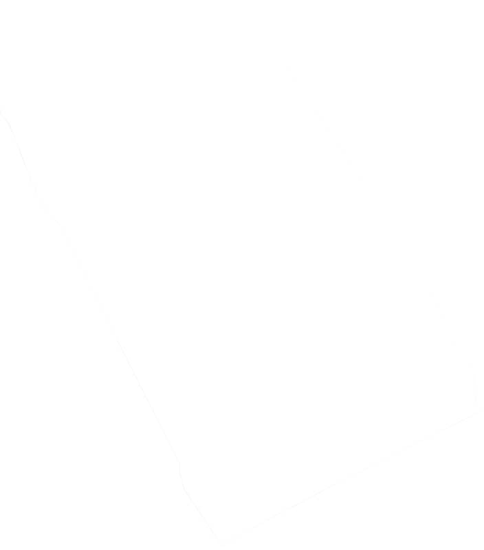 Luna Watterollen Gr. 2, 1000 Stück Verpackung von Coltene Whaledent.