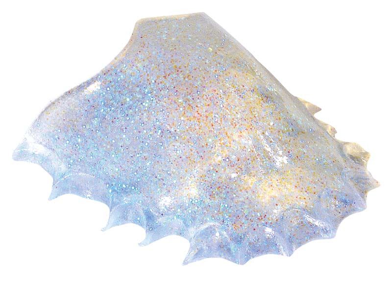 Schimmerndes Glimmer Rainbow Pulver in muschelförmiger Anordnung.