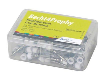 Transparente Box mit weißen Nylonbürsten für Zahnpolitur, Aufschrift "Becht4Prophy".