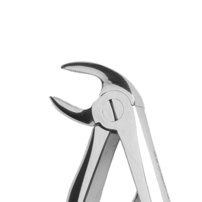 Anatomische Kinderzahnzange KKD® Form 7B für UK-Wurzeln.