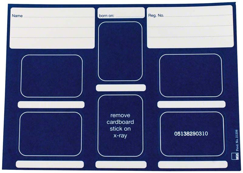 Hochqualitative blaue Dentalfilmkarten mit beschrifteten Feldern für Zahnarztfilme.