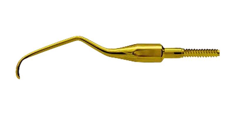 American Eagle XP Universal Quik-Tip Langer 6, goldfarbenes zahnärztliches Instrument.