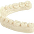 IMPRIMO® LC Model ivory