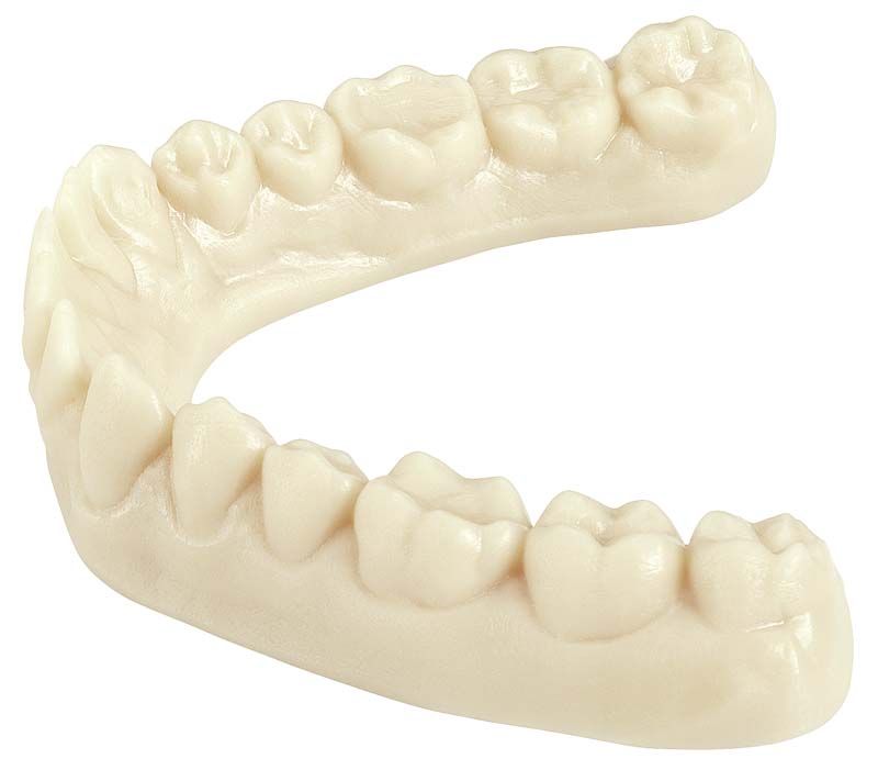 Detailansicht eines hochpräzisen Dentalmodells aus IMPRIMO® LC Model ivory Kunststoffharz.