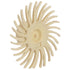 Image of Sof-Lex™ Vorpolierräder beige
