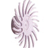 Image of Sof-Lex™ Diamantpolierräder pink