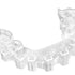 IMPRIMO® LC IBT