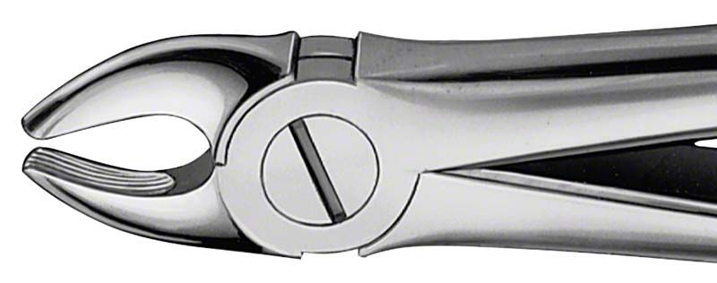 ANATOMICA Zahnzange Figur 107 für OK Eckzähne, präzise und hochwertig gefertigt.