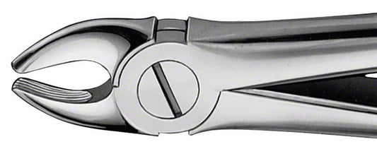 Image of ANATOMICA Zahnzange Figur 107 - OK Eckzähne