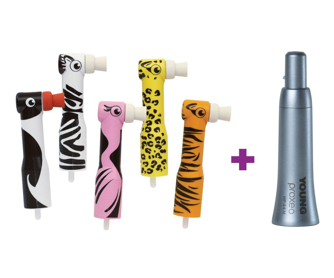 Zooby® Starter Kit mit bunten zahnärztlichen Handstücken und Polierer.