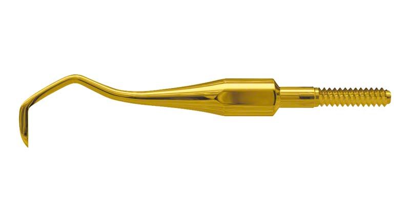 American Eagle XP Scaler Quik-Tip H33, anterior, goldene Skaliererspitze.