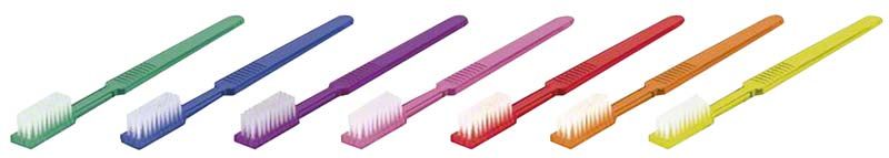 Bunte Einwegzahnbürsten mit imprägnierter Zahnpasta in verschiedenen Farben.