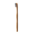 Humble Brush Erwachsene soft aktivkohle