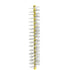 Mara Expert Premium Line Zip gelb, breit