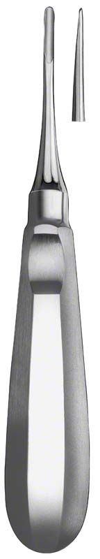 Zahnwurzelheber aus Edelstahl mit ergonomischem Griff, Nahaufnahme der Spitze.