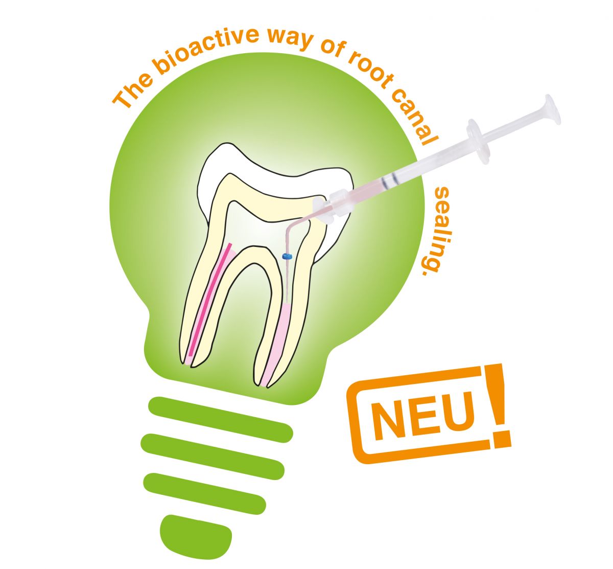 Darstellung eines Zahns mit Harvard BioCal® RootSeal plus EndoDirect Applikation.