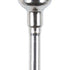 Image of Prophy-Brush flach Kelch normal