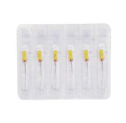 Sterile B6 H-Feilen 21mm Gr. 020 von MicroMega in Blisterverpackung.