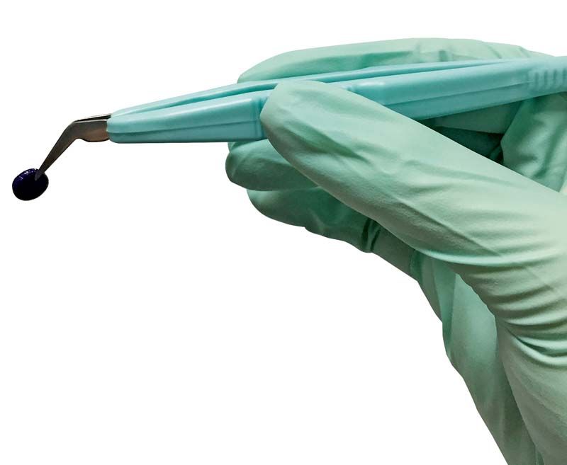 Grüner Handschuh hält Plaquetest-Mini-Schwamm mit Dentalinstrument.