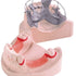 OCTA-STONE M pink