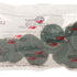 DIMO® Polierscheiben Mittel, Grün, 10er