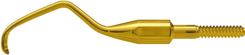 American Eagle XP Gracey Quik-Tip Anterior Kürettenspitze in Nahaufnahme.