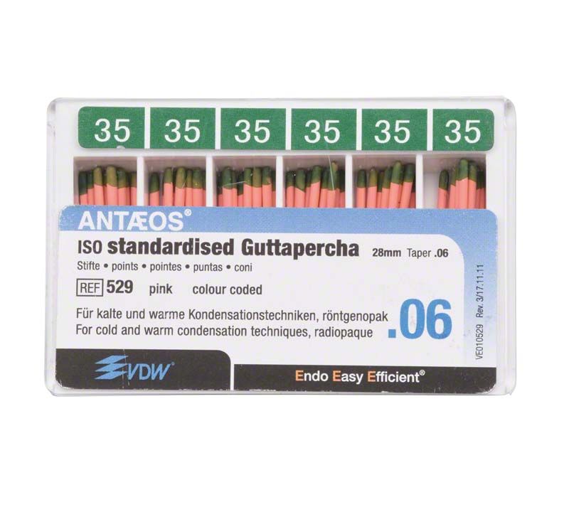 Guttapercha-Stifte .06 Gr. 35 in grün-weißem Verpackungsbehälter von VDW.