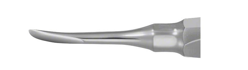 Graziles, gebogenes Arbeitsende eines Wurzelrestentferners für Oberkiefermolaren.